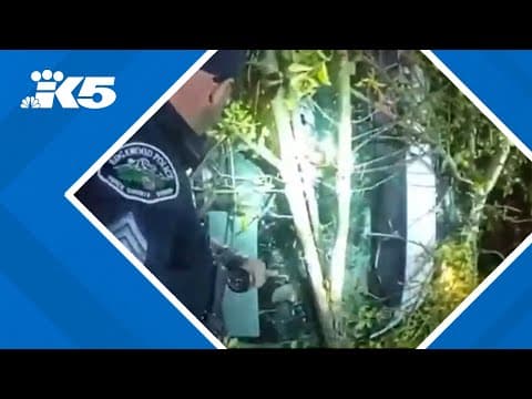 Stolen box truck takes Pierce Co. deputies on wild chase