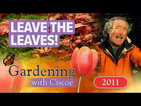 LEAVE THE LEAVES! Winter Gardening Tips! | Gardening With Ciscoe | Full Episode
