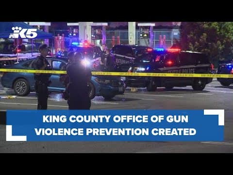 King Co. Office of Gun Violence Prevention created