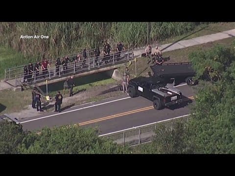 Florida mother found dead in mouth of alligator