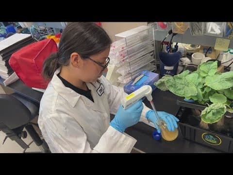 New event inspires San Diego girls to consider careers in STEM