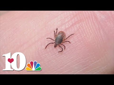 UT Institute of Agriculture urges people to check for ticks after spending time outside