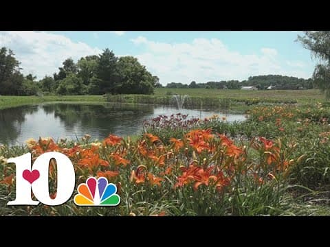 10About Town celebrates Flower Power