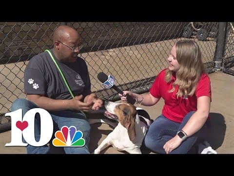 Celebrating National Pet Day