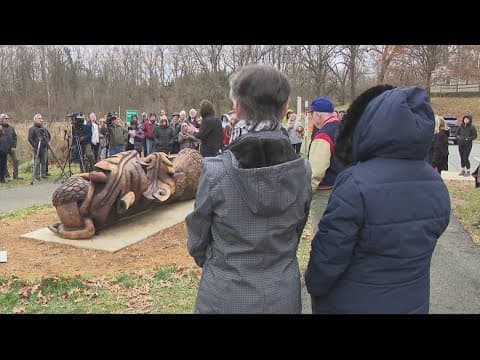 Bench made from centuries-old tree now complete in Bethesda