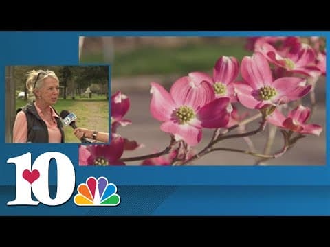 Dogwood Trails officially opens on April 1