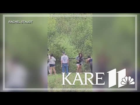 Disturbing video shows group of people pulling bear cubs out of tree in North Carolina