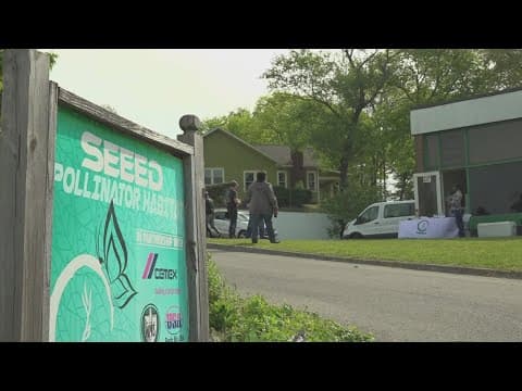 SEEED creates edible forest, hoping to teach others to become self-sustainable