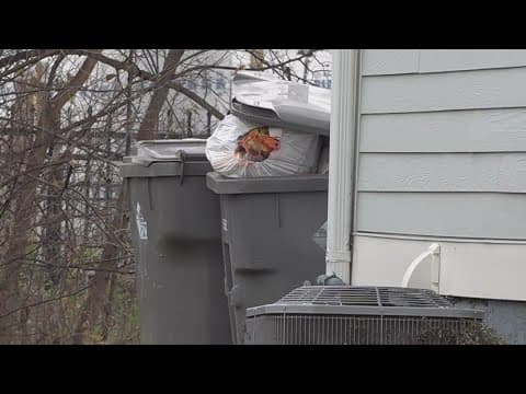 How to properly dispose of holiday waste