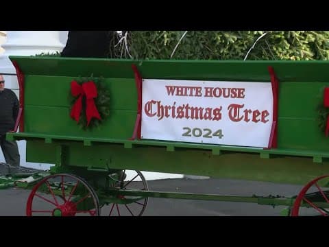 White House unveils holiday theme, seasonal decor