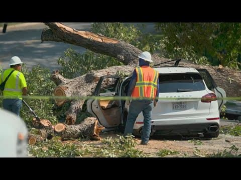 North Texas woman injured after large tree falls on top of her SUV