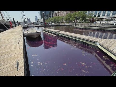 Fuel spill at Baltimore's Inner Harbor
