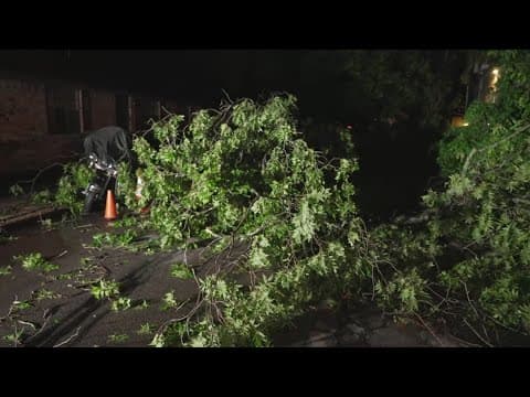Storms cause damage in Fannin County overnight