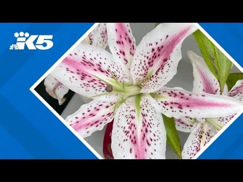 Port Angeles man finds passion for photography