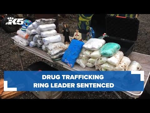 Drug trafficking ring leader sentenced