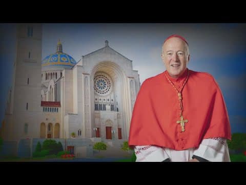 Pope Francis names Cardinal Robert McElroy as new Archbishop of Washington DC