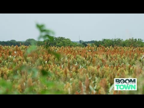 Lawsuit between Rockwall County and homebuilder could have statewide growth implications