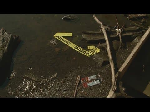 City of Alexandria agrees to stop leak of coal tar into Potomac River