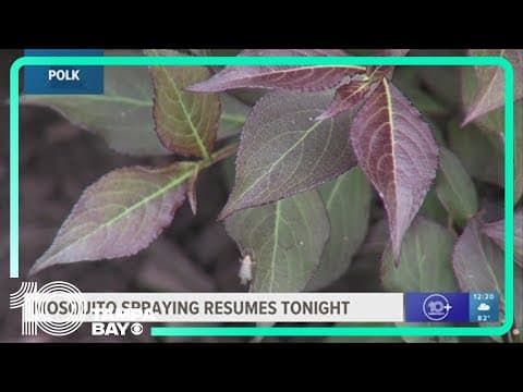 Various parts of Hillsborough County to be treated for mosquitoes this weekend