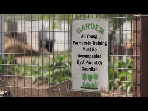 Harvesting Hope: Bonton Farms in South Dallas opens a new Wellness Center