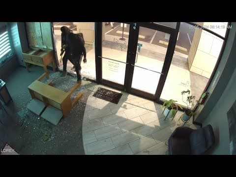 Thieves caught on camera breaking into high-end Houston eyewear stores three times in one week