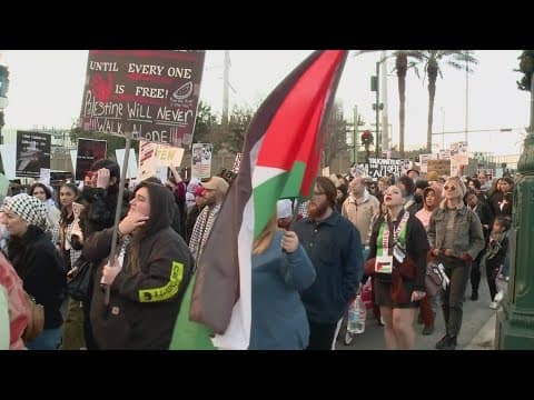 Protesters march downtown for Palestine
