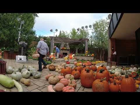 WATCH: The KARE 11 Backyard gets a full fall makeover