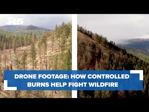 DRONE FOOTAGE: The difference controlled burns make in a wildfire
