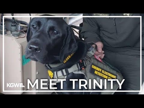 Lincoln County Sheriff's Office welcomes new K9 partner