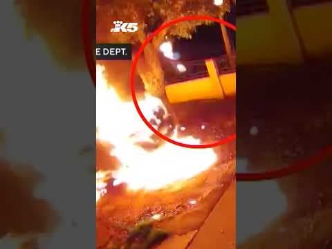 Arsonist sets self on fire while torching car