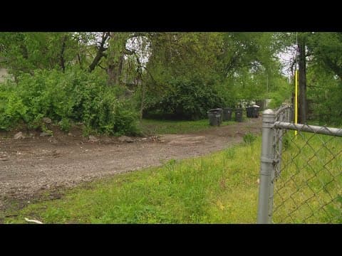 12-year-old boy killed in hit-and-run crash