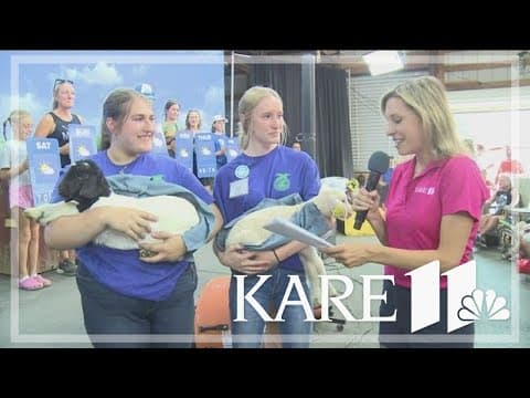 Minnesota FFA members bring baby animals to KARE Barn