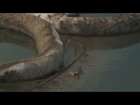 Landry, environmental officials give update on cleanup at Smitty’s Supply