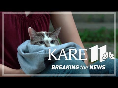 This neighborhood tour in Minneapolis is the cat's meow