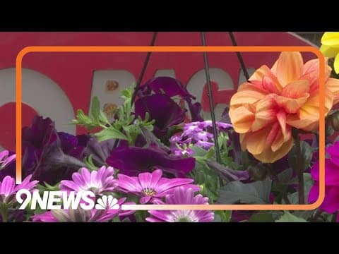 Mother's Day flowers: Here are some of the best picks, according to an expert