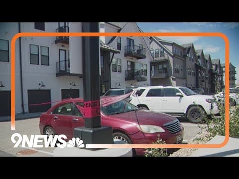 18-year-old man faces murder charge after stabbing at Castle Pines apartment complex