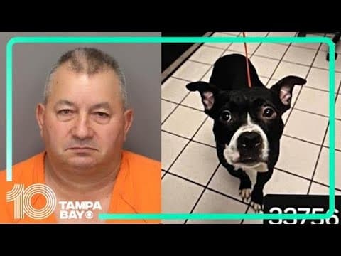Man facing animal cruelty charges after deputies find decapitated dog at Fort De Soto Park