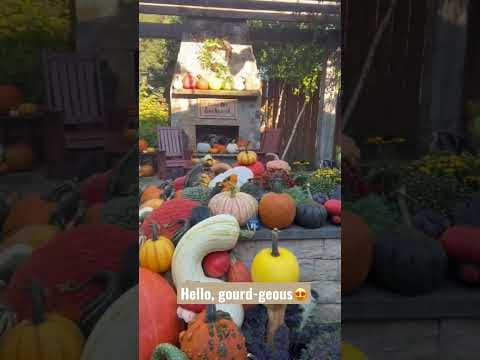 Hello, gourd-geous. 😍 #KARE11Backyard