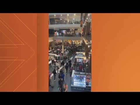 Police arrest teens after series of brawls at Pentagon City Mall