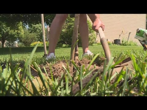 Minnesotans honor Hortmans with community tree planting initiative