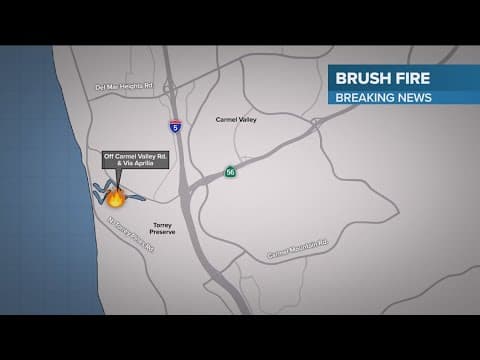 Evacuation orders issued near brush fire in Del Mar Heights