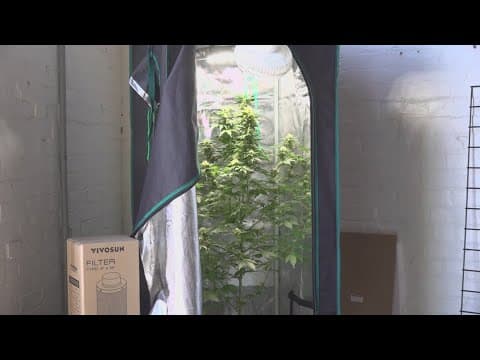 Texas lawmakers considering THC ban: latest updates