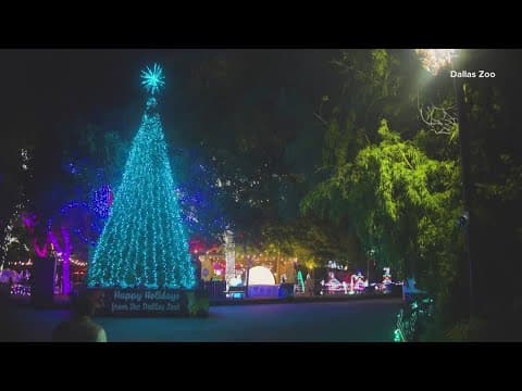 Dallas Zoo extends holiday light display