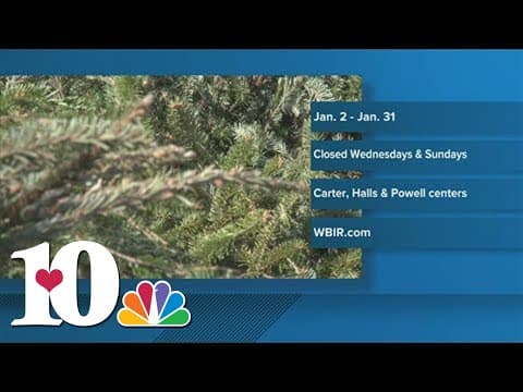 Ready to get rid of your Christmas tree? Here's how to recycle it in Knox County