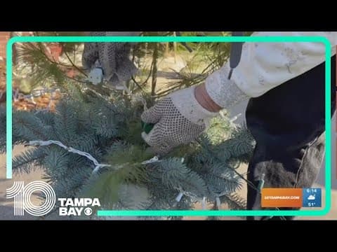 Tips for avoiding hazards and accidents during holiday decorating