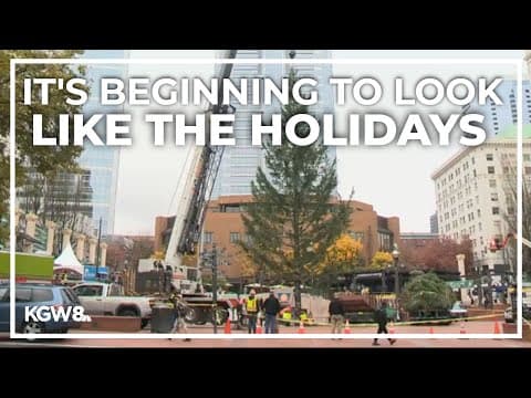 Iconic Christmas tree arrives at Pioneer Courthouse Square
