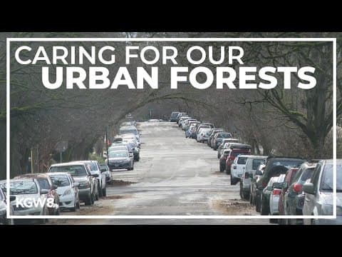 Oregon’s new urban forester describes the promise and peril of trees in our cities