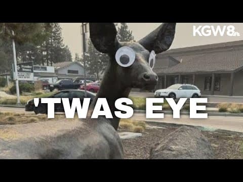 Bend man takes credit for viral googly eyes prank