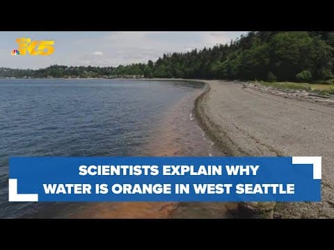 Why was the water orange in West Seattle? Scientists explain why