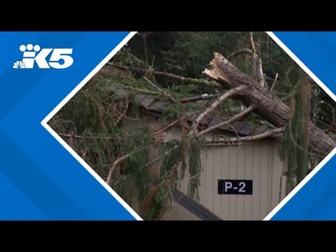 High winds pummel PNW as power agency job cuts worry local leaders